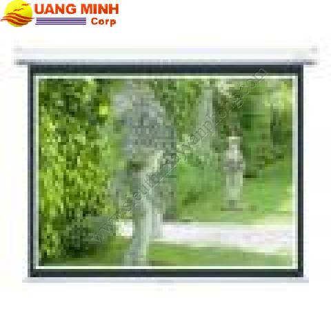 Màn chiếu điện Dinon
